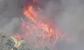 Incendiu de vegetație de proporții în sudul Californiei: peste 30.000 de oameni evacuați, focul se apropie periculos de zonele locuite - VIDEO