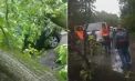 Un copac s-a prăbușit peste un automobil în sectorul Botanica al capitalei: Mașina a fost avariată, iar strada a fost blocată complet - FOTO
