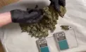 Grupare suspectată de circulația ilegală a drogurilor, documentată de INI în sudul țării. Polițiștii au ridicat substanțe narcotice de peste 200 de mii de lei - VIDEO