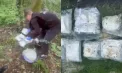 Peste 7 kg de droguri sintetice, depistate într-o zonă forestieră din Durlești: o ucraineancă reținută pentru 72 de ore - VIDEO
