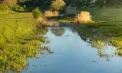 Cod galben de inundații pe râul Răut: nivelul apei crește după ploile abundente