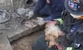 Salvare spectaculoasă în Colorado: 18 salvatori mobilizați pentru un cățel blocat sub terasa unei case. Acesta a fost scos în siguranță după o intervenție complexă - VIDEO