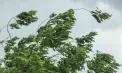 Cod GALBEN de vânt puternic în toată Republica Moldova. Când intră în vigoare avertizarea - FOTO