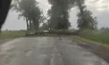 Vreme extremă în nordul țării: un copac rupt de vânt a paralizat temporar circulația în raionul Dondușeni. Poliția a intervenit pentru dirijarea traficului - FOTO