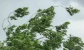 Cod GALBEN de vânt puternic în toată Republica Moldova. Până când va fi valabil - VIDEO