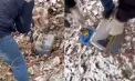 Cocaină, marijuana și hașiș, ascunse în Chișinău: patru bărbați din capitală vor sta până la 12 ani după gratii - VIDEO