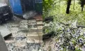 La Edineț și Fălești a plouat torențial: grindina a afectat mai multe localități: „Ia uitați-vă ce se face” - VIDEO