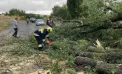 Copaci doborâți, acoperișuri distruse, gospodării afectate: IGSU a intervenit în toate raioanele țării după ce vremea rea a făcut ravagii