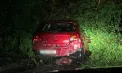 Ploile și vântul puternic au făcut ravagii în mai multe localități din țară. La Chișinău, mai mulți copaci au căzut peste mașini și linii electrice 