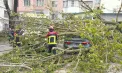 Ploile au pus la încercare mai multe localități din Republica Moldova: salvatorii au intervenit pentru evacuarea apei și înlăturarea arborilor doborâți