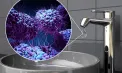 ANSP confirmă prezența bacteriilor coliforme în apa potabilă din Bălțiul Nou: autoritățile iau măsuri de precauție