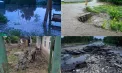 Tablou sumbru după ploile care au făcut prăpăd în țară: zeci de localități afectate, gospodării inundate și drumuri distruse - VIDEO