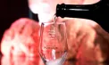 Purcari lansează colecția Parcela - expresia originii în fiecare vin - VIDEO