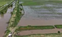 Peste 100 de hectare de culturi, înghițite de ape după revărsarea râului Botna: fermierii acuză lipsa lucrărilor de întreținere: „Nu știu dacă se va mai salva ceva” - VIDEO