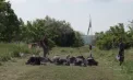 Zeci de militari și forțe de ordine din Moldova și România, puși la încercare în „Cupa Eroilor”: „Am dat tot ce este mai bun” - VIDEO