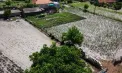 „Nu ne ajută nimeni”, se plâng oamenii din satele afectate de inundațiile din Ialoveni: agricultorii au rămas fără roade și fără venituri - VIDEO