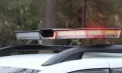 Escrocherii telefonice cu scenarii complexe și identități false: declarațiile curierilor și interceptările publicate de poliție în cazul fraudelor de peste 400.000 de lei - VIDEO