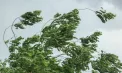 Cod GALBEN de instabilitate atmosferică în toată Republica Moldova: sunt așteptate ploi, grindină și vijelii. Cât timp va fi valabilă avertizarea meteo - FOTO