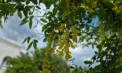 Cer noros și maxime de până la 25 de grade în sudul Republicii Moldova. Ce temperaturi se vor înregistra sâmbătă în Chișinău. Prognoza meteo

