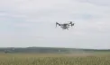 Viitorul agriculturii a ajuns în Republica Moldova: dronele agricole capabile să trateze culturile cu precizie, prezentate în nordul țării - VIDEO