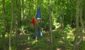Luptă pentru salvarea pădurii. Tudor Șevcenco de la Trușeni nu obosește să calce pragul sălilor de judecată pentru a păstra două hectare de pădure - VIDEO