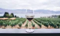 Un vin de colecție din Republica Moldova - declarat cel mai bun printre mii de probe degustate, în orb, de experți internaționali 