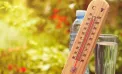 Europa sub asediul căldurii extreme: Germania, Polonia, Ungaria și Cehia înregistrează temperaturi record, iar bilanțul victimelor depășește 1.300 de morți - VIDEO
