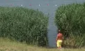 Scăldatul pe timp de caniculă poate fi fatal: IGSU organizează demonstrații de salvare după tragediile în care și-au pierdut viața trei persoane într-un singur weekend - VIDEO