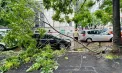 Furtuni devastatoare în România după caniculă: un mort și mai mulți răniți, copaci doborâți și acoperișuri smulse - VIDEO