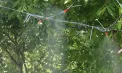 Cod galben de caniculă prelungit în Republica Moldova: autoritățile vin cu soluții neobișnuite, de la dispersoare de apă la corturi anticaniculă în mai multe raioane. Oamenii spun că „este un lucru foarte bun” - VIDEO