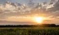 Temperaturi de până la 34°C, iar în sudul Republicii Moldova se așteaptă ploi. Cum va fi vremea la Chișinău, dar și în următoarele zile