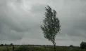 Cod GALBEN de vânt în Republica Moldova. Când intră în vigoare avertizarea și ce recomandă autoritățile - VIDEO