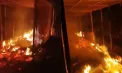 Mai mulți câini au murit, după ce un azil din Chișinău a luat foc: Proprietarii spun că este vorba despre un incendiu intenționat - FOTO/VIDEO