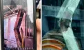 Momente de panică în Manhattan: un zgârie-nori în lucrări a fost declarat cu risc de prăbușire după deformarea unor coloane și căderi de materiale - VIDEO