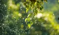 Vremea în Republica Moldova: ploi slabe în nord și sud, iar în capitală se vor înregistra 26 de grade. Prognoza meteo
