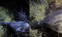 Drona de tip Gheran-2 care s-a prăbușit la Căușeni este rusească. Ministerul Apărării: deține o încărcătură explozivă de 40 kg și urmează a fi detonată