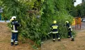 Vântul puternic și ploile au făcut ravagii în mai multe raioane. Un copac a căzut peste o conductă de gaz la Orhei, iar altul a avariat un automobil