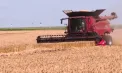 „Mai bine să prevenim, decât s-o pățim”: Agricultorii, instruiți de salvatori cum să protejeze culturile în perioada recoltării. De ce trebuie să țină cont în timpul secerișului - VIDEO