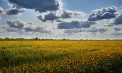  Zi călduroasă în Republica Moldova cu maxime de până la 33 de grade. Cum va fi vremea la Chișinău, dar și în wekeend