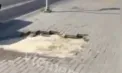 O femeie de 77 de ani a căzut într-o groapă plină cu apă, pe un trotuar din Chișinău. Apă-Canal susține că incidentul nu are legătură cu lucrările sale - VIDEO