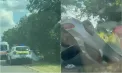 Accident grav în apropiere de Baccealia: O mașină s-a răsturnat într-un șanț. Poliția și ambulanța au intervenit - VIDEO