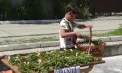 Are doar 7 ani, dar deja știe ce înseamnă afacerea: un copil din Strășeni vinde mentă din grădina bunicilor și își câștigă primii bani de buzunar - VIDEO