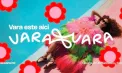 Vibe de Brazilia, tobogane spectaculoase și distracție la intensitate maximă. Cum prinde viață atmosfera la VARA VARA – VIDEO