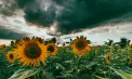 Ploi puternice în centrul și sudul Republicii Moldova: vom avea temperaturi de până la 25 de grade. Cum va fi vremea la Chișinău