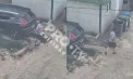 Cruzime fără margini: momentul în care un câine este târât cu o funie de către o persoană - FOTO