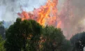 Dezastru în vestul Europei: sute de incendii de vegetație izbucnite din cauza temperaturilor extreme. Peste 3.000 de hectare de pădure, mistuite în câteva ore - VIDEO