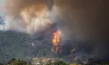 Incendiile fac ravagii în Franța și Spania: peste 220 de mii de oameni au fost evacuați, iar aeroportul din Bordeaux a fost închis - VIDEO