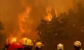 Spania se confruntă cu cel mai devastator incendiu de vegetație din ultimele decenii: peste 50.000 de hectare au fost mistuite, iar 120.000 de oameni au fost evacuați - VIDEO