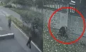  Un cuplu din Chișinău, cercetat pentru trafic de droguri prin Telegram. Își camuflau activitatea plimbându-se cu un copil - VIDEO