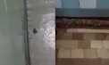 Broaște și șoareci în secția de boli infecțioase a Spitalului Raional Ștefan Vodă: imagini revoltătoare surprinse în salon: „Am stat trează să îmi păzesc copilul” - VIDEO